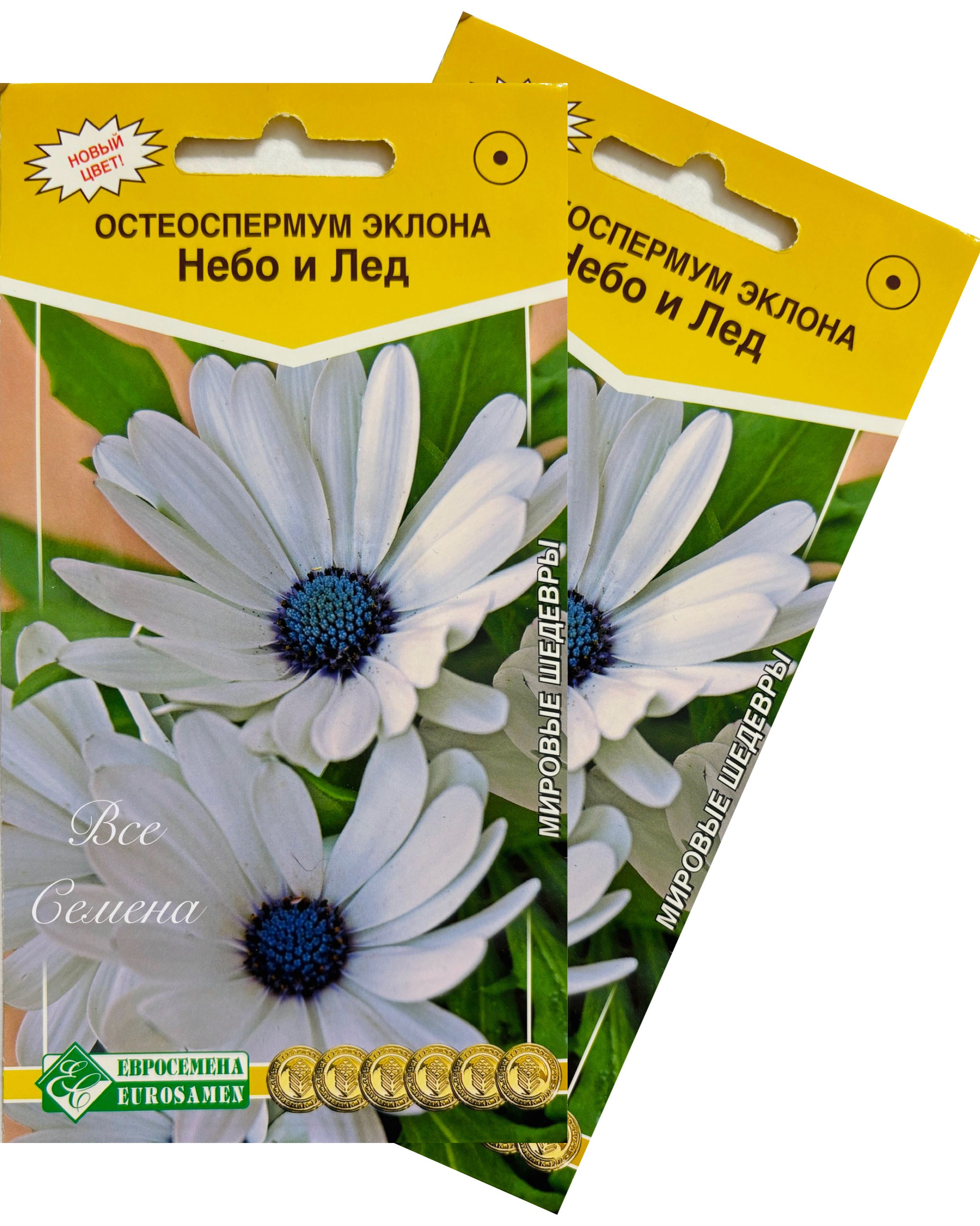 Семена остеоспермума «Небо и лёд»